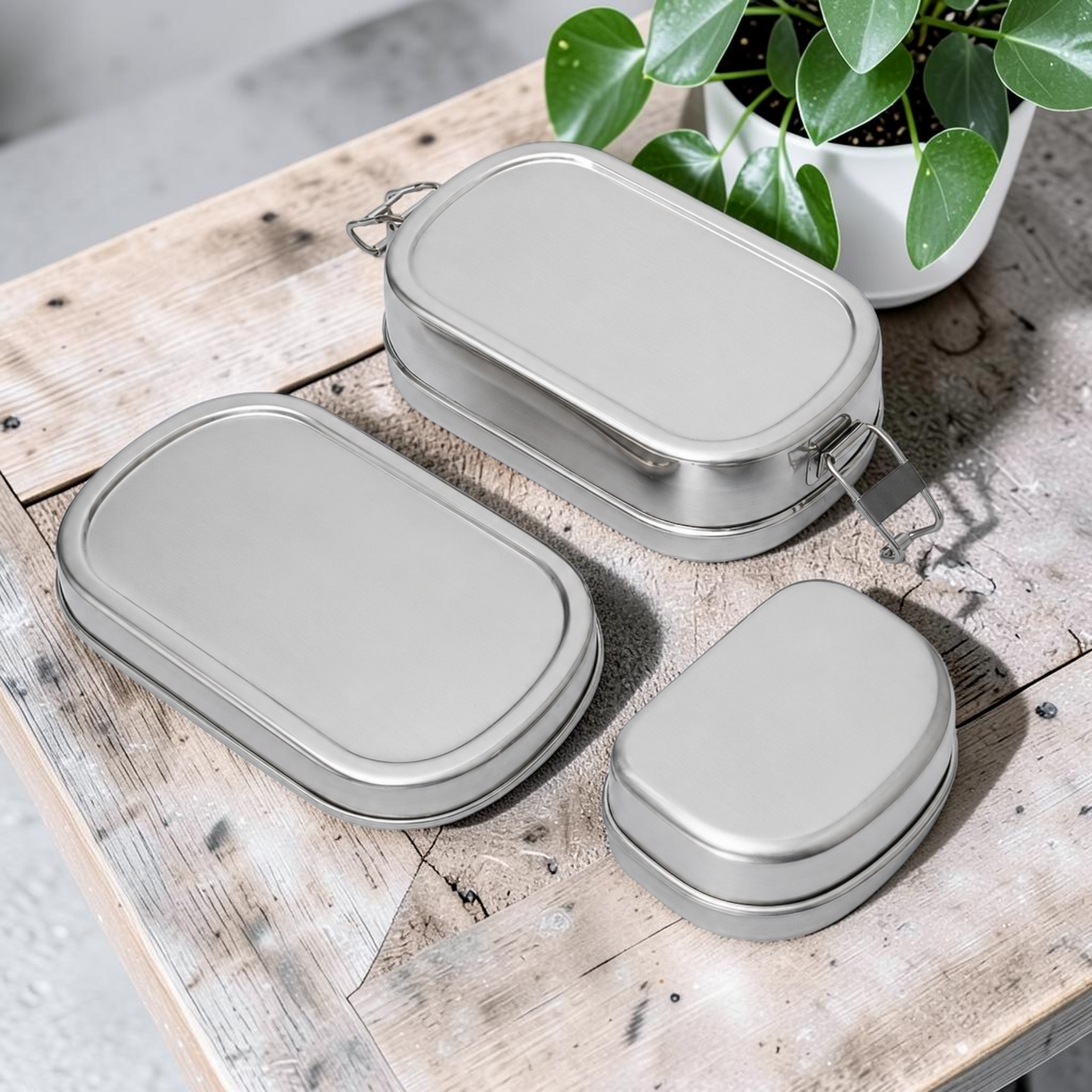 Capsule shaped lunch box with vati